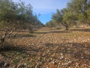 Agios Nikolaos Kreta, Agios Nikolaos: Großes Baugrundstück mit herrlichem Meerblick zu verkaufen Grundstück kaufen